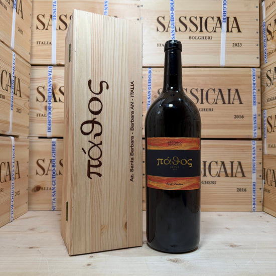 Pathos 2023 Magnum Santa Barbara