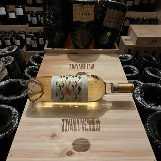 Pecorino Villa Angela 2023 Velenosi