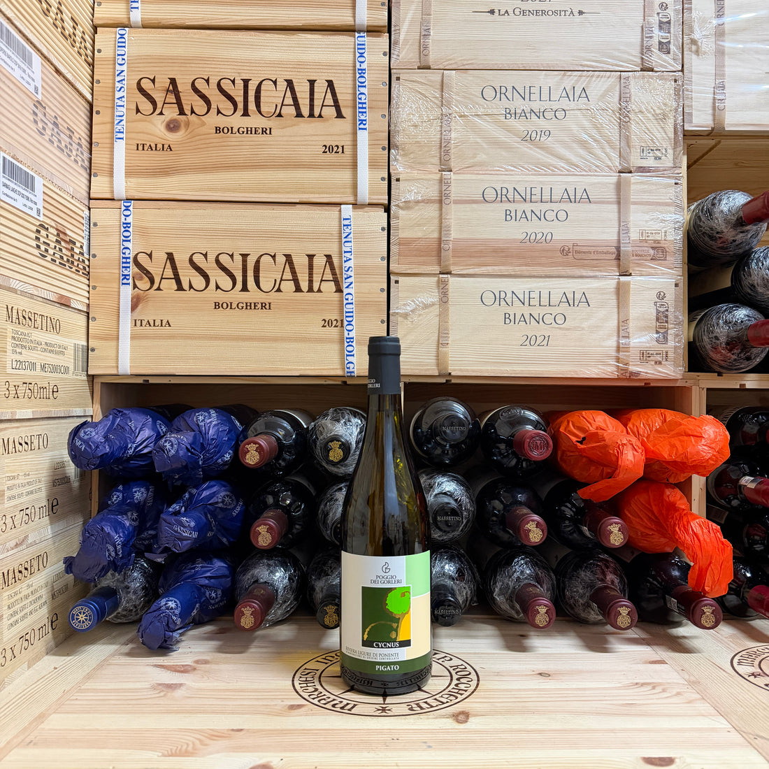 Pigato Cycnus 2024 Poggio dei Gorleri