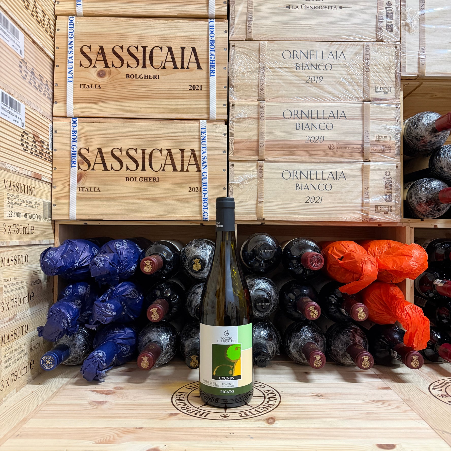 Pigato Cycnus 2024 Poggio dei Gorleri