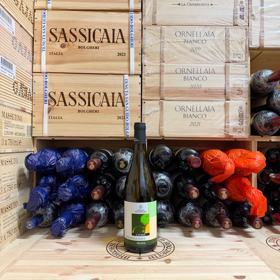 Pigato Cycnus 2024 Poggio dei Gorleri