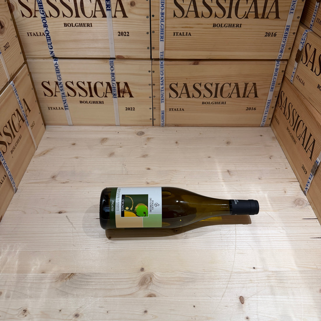 Pigato Cycnus 2024 Poggio dei Gorleri