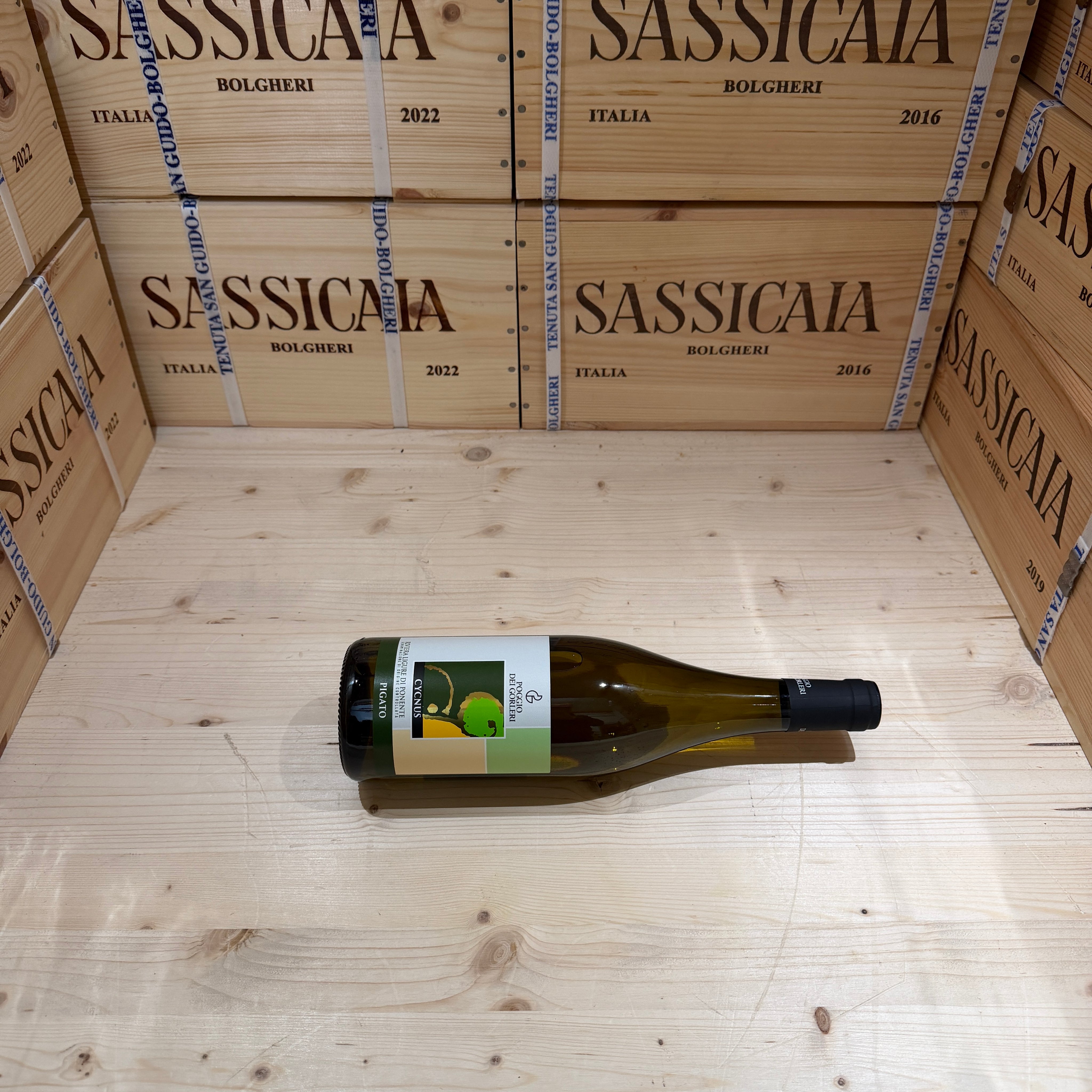 Pigato Cycnus 2024 Poggio dei Gorleri