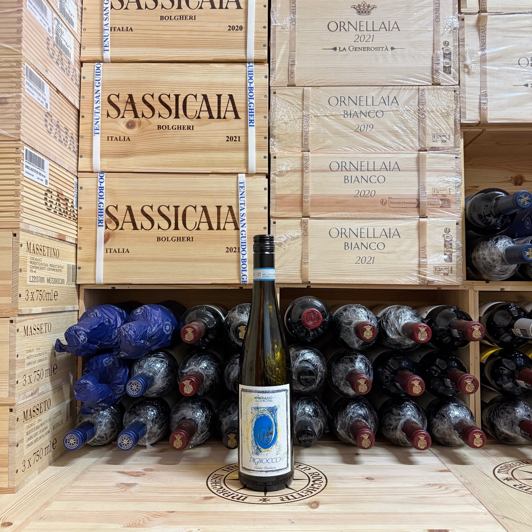 Pignocco 2024 Santa Barbara Verdicchio dei Castelli di Jesi DOC