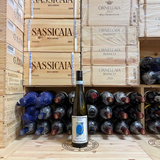 Pignocco 2024 Santa Barbara Verdicchio dei Castelli di Jesi DOC