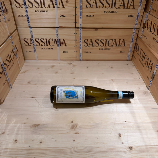 Pignocco 2025 Santa Barbara Verdicchio dei Castelli di Jesi DOC