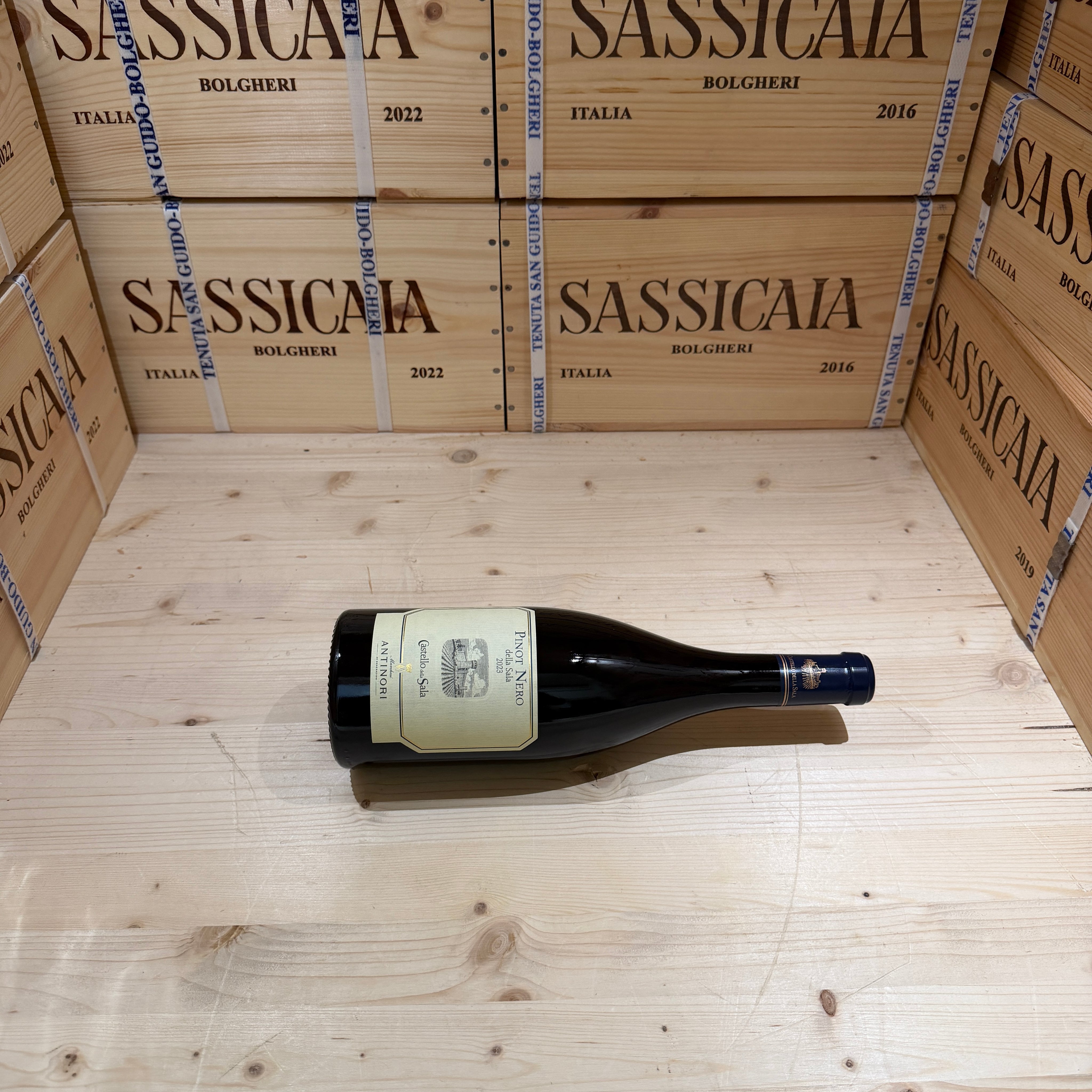 Pinot Nero della Sala 2023 Castello della Sala Marchesi Antinori