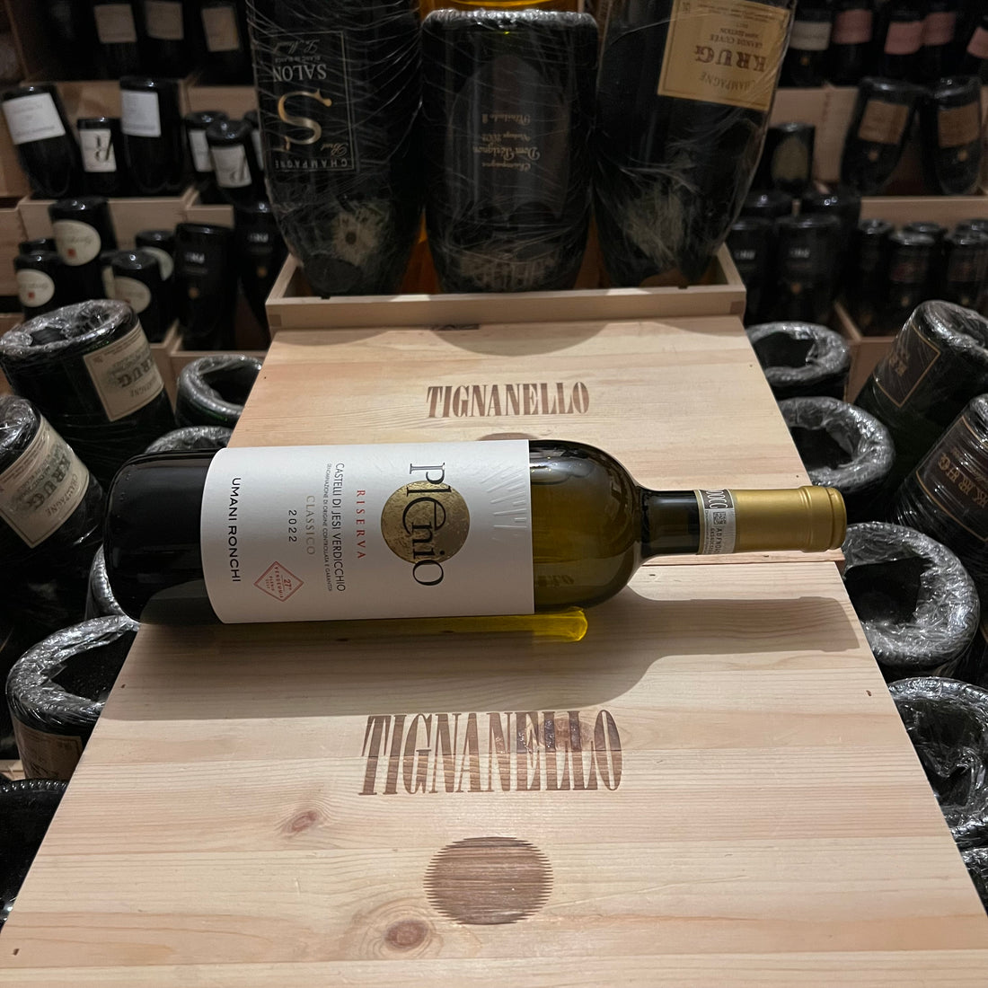 Plenio 2022 Umani Ronchi Verdicchio dei Castelli di Jesi Riserva DOCG Classico