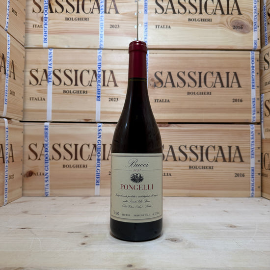Pongelli 2023 Rosso Piceno DOC Villa Bucci
