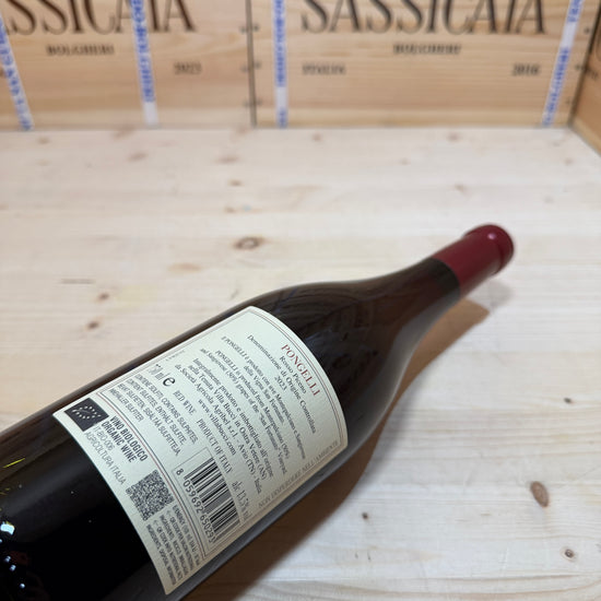 Pongelli 2023 Rosso Piceno DOC Villa Bucci
