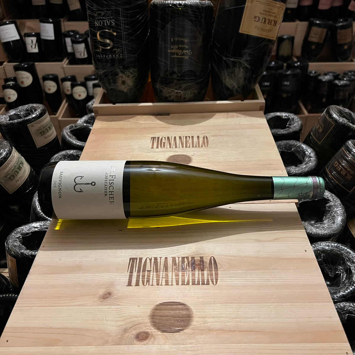 Rheinhessen Sauvignon Troken 2023 Dr. Fischer - Hofstatter