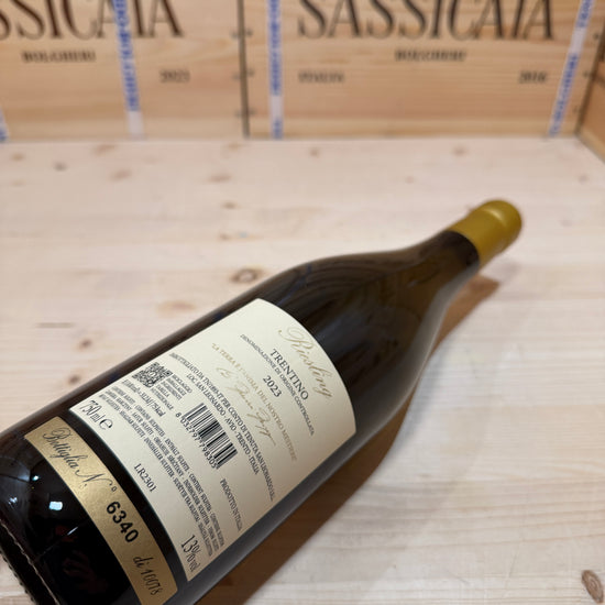 Riesling 2023 Tenuta San Leonardo