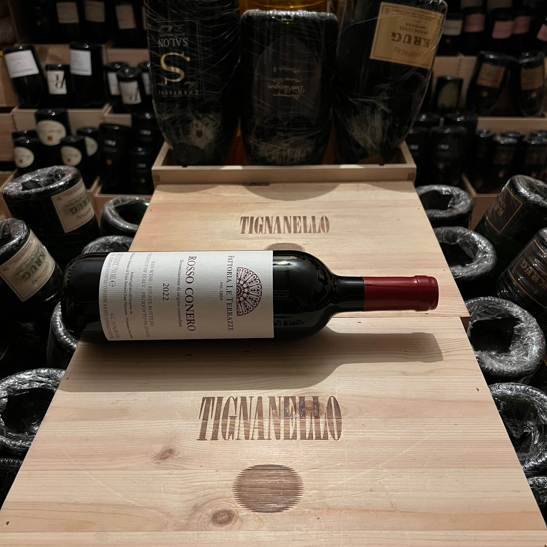 Rosso Conero 2022 Fattoria Le Terrazze