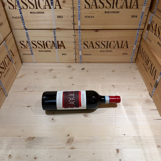 Rosso di Montalcino 2024 Giodo
