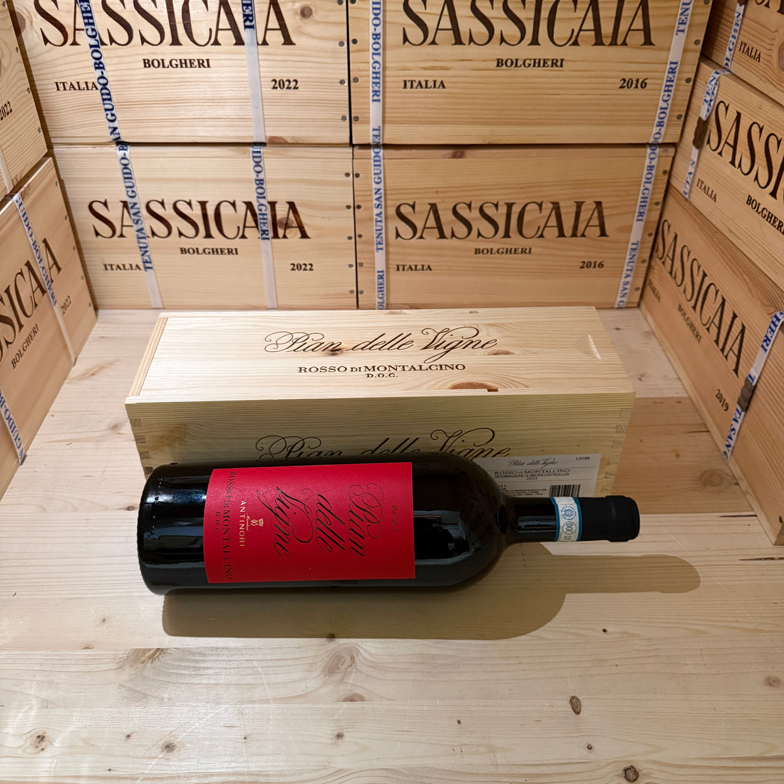 Rosso di Montalcino Pian delle Vigne 2024 Magnum Marchesi Antinori