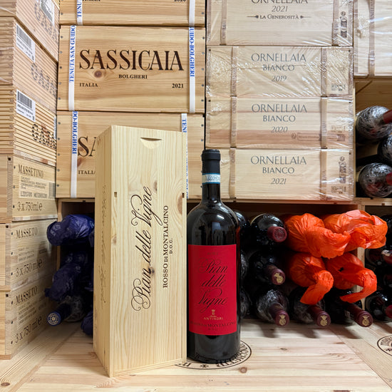 Rosso di Montalcino Pian delle Vigne 2024 Magnum Marchesi Antinori
