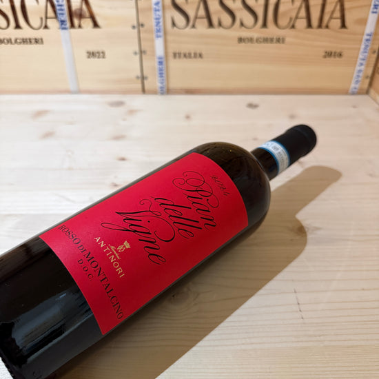 Rosso di Montalcino Pian delle Vigne 2024 Marchesi Antinori