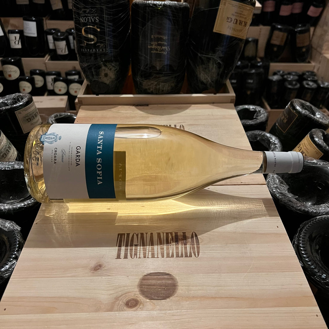 Santa Sofia Croara del Lago Garda DOC Bianco 2022 Magnum