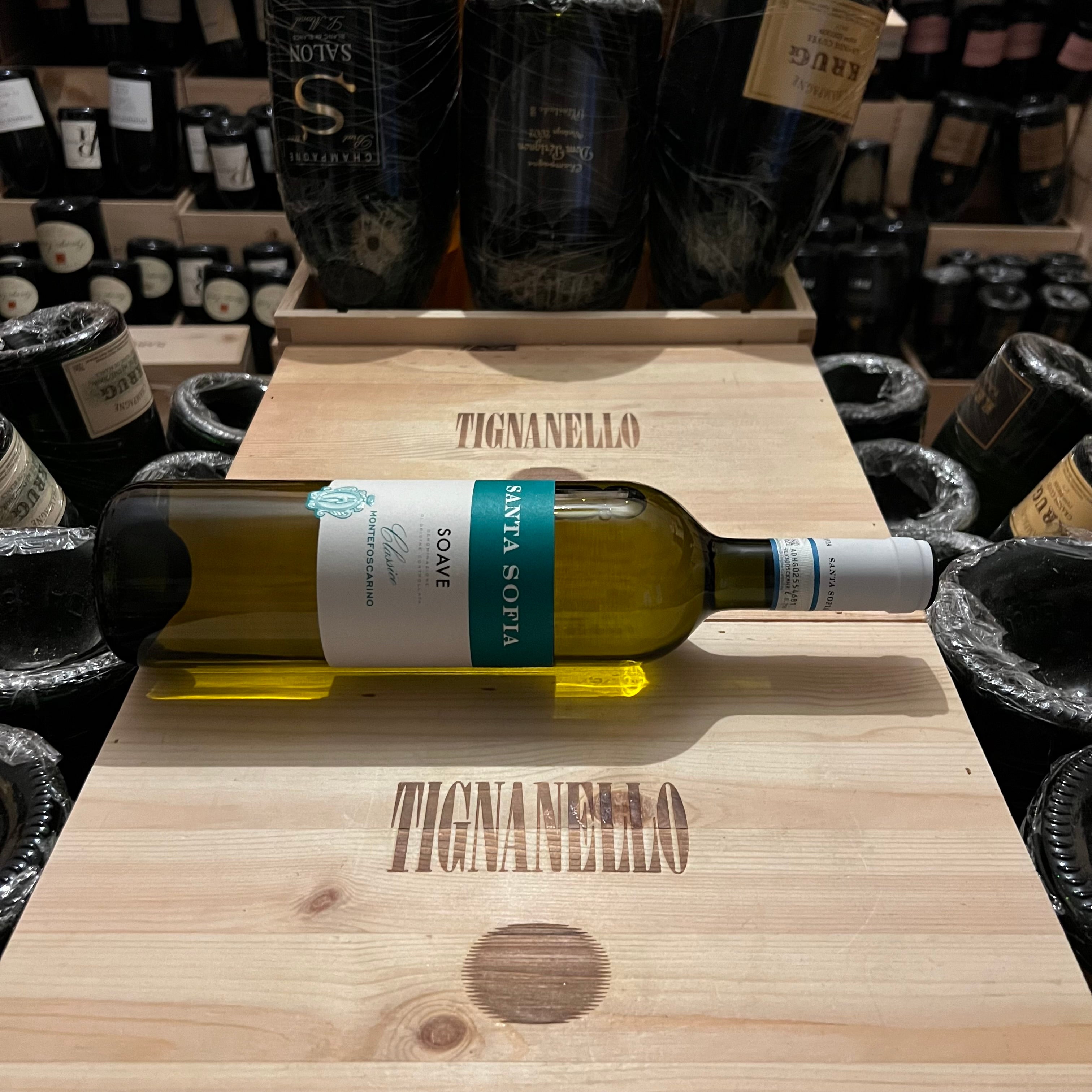 Santa Sofia Soave DOC Classico Montefoscarino 2023