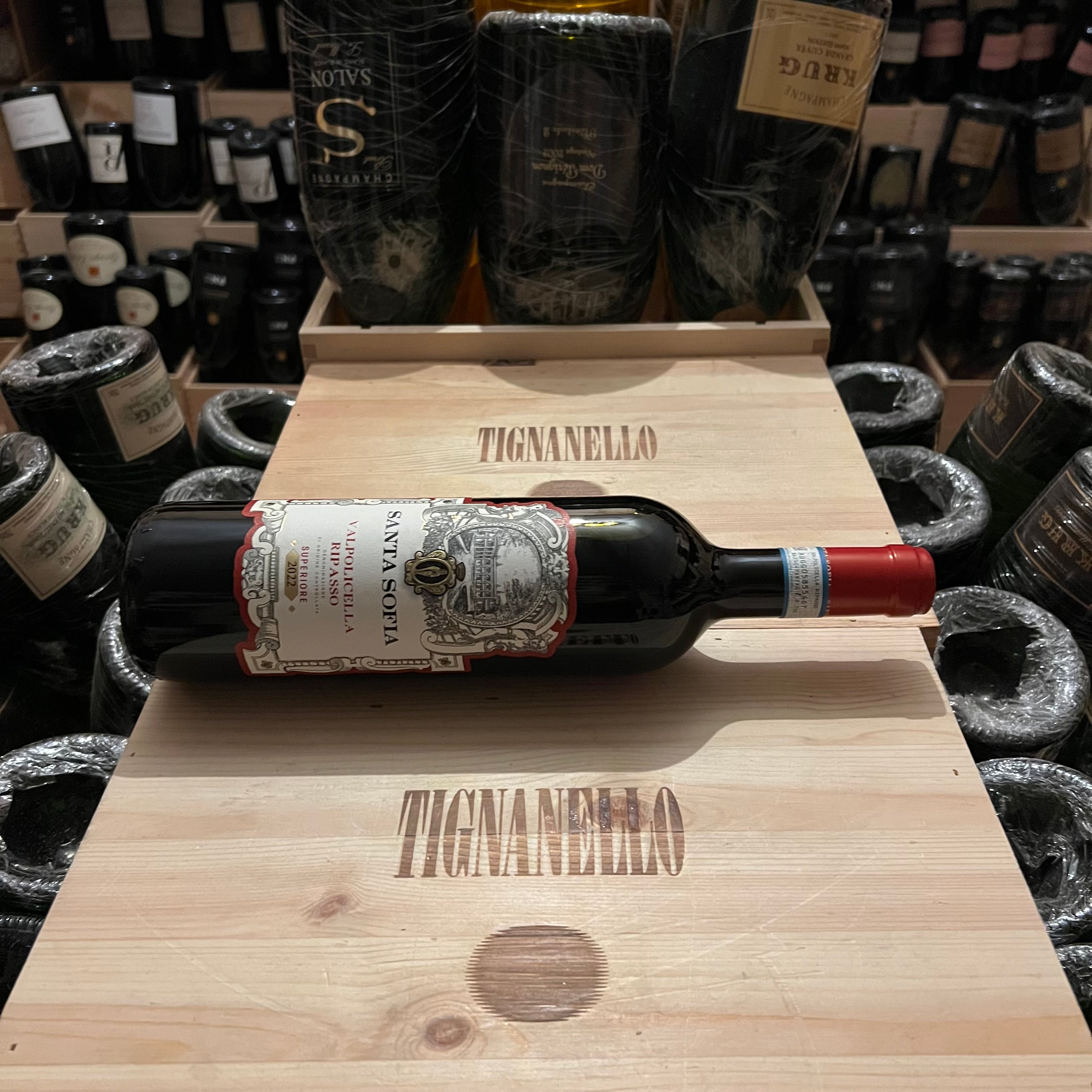 Santa Sofia Valpolicella Ripasso DOC Superiore 2022