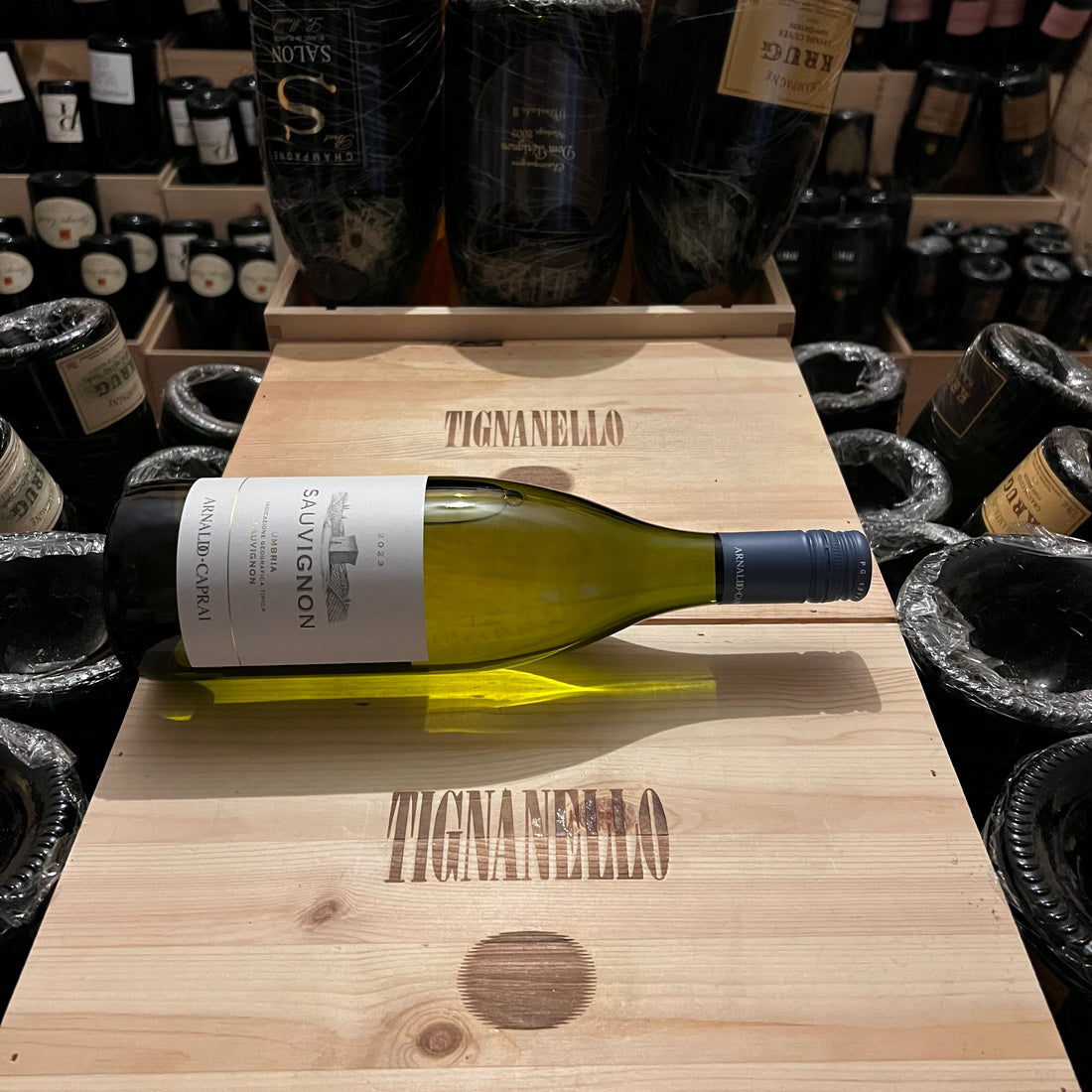 Sauvignon 2023 Arnaldo Caprai Umbria Sauvignon IGT