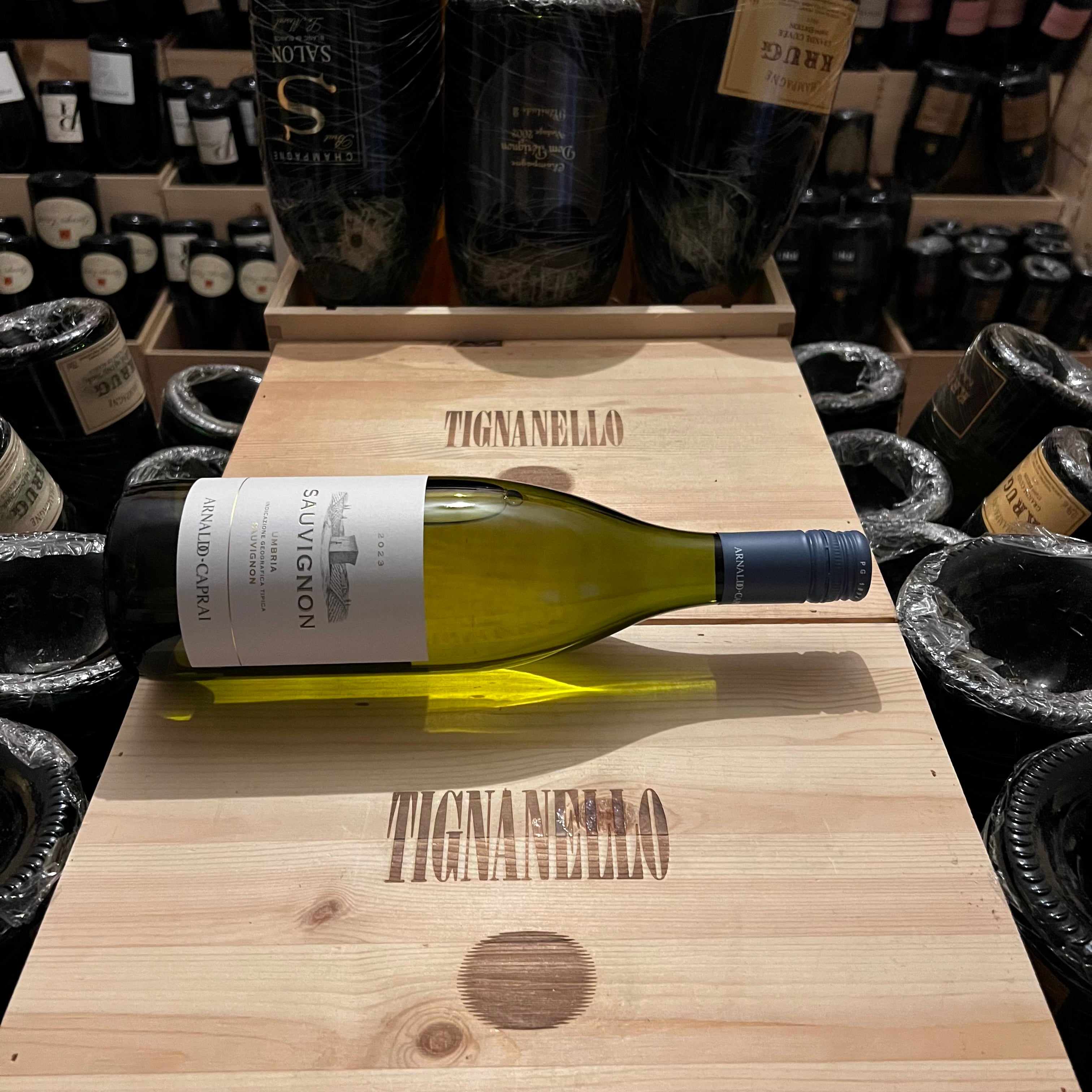 Sauvignon 2023 Arnaldo Caprai Umbria Sauvignon IGT