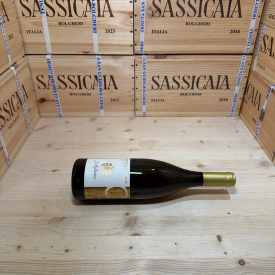 Sauvignon Riserva Vigna Oberkerschbaum 2023 Hofstatter