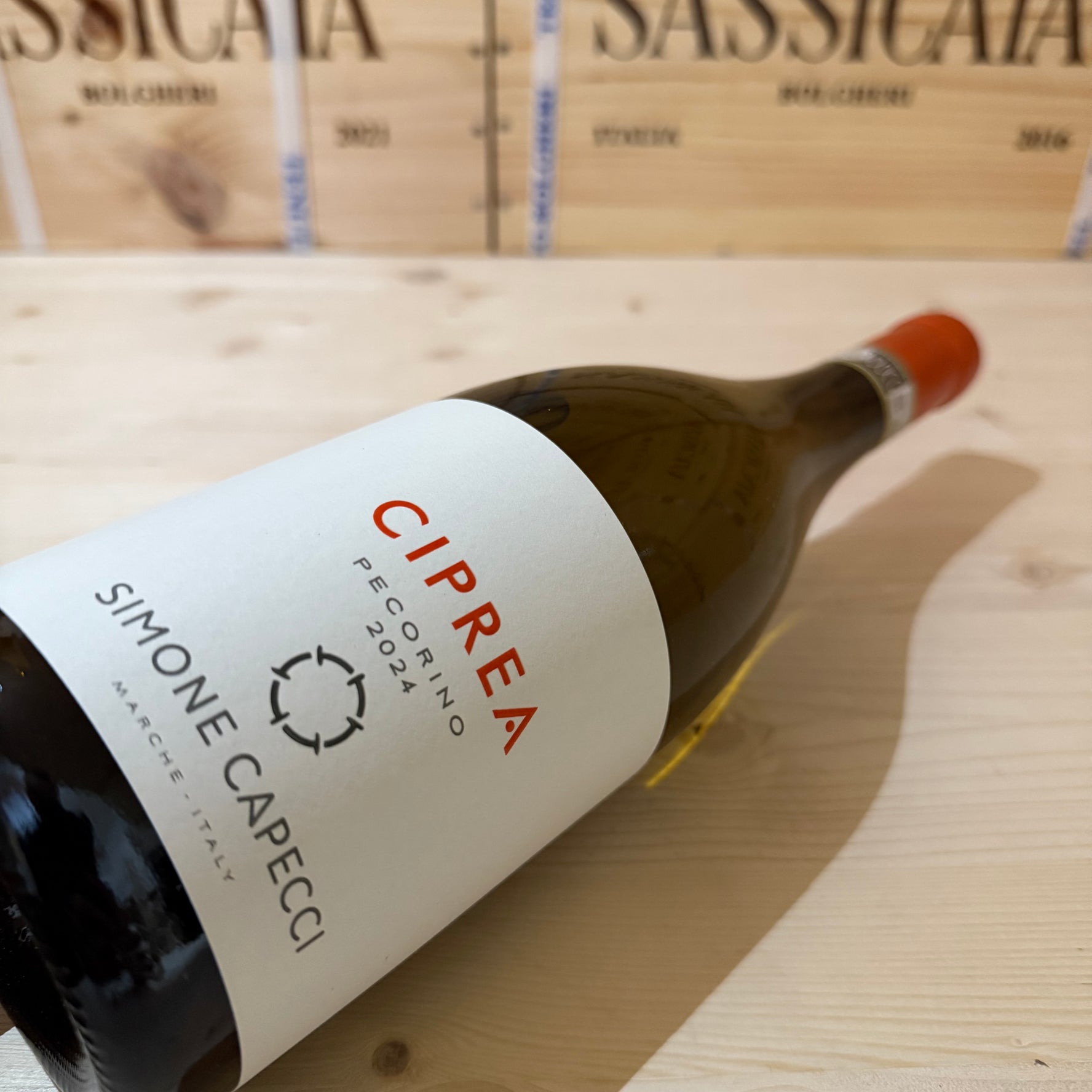 Simone Capecci Ciprea 2024 Offida Pecorino