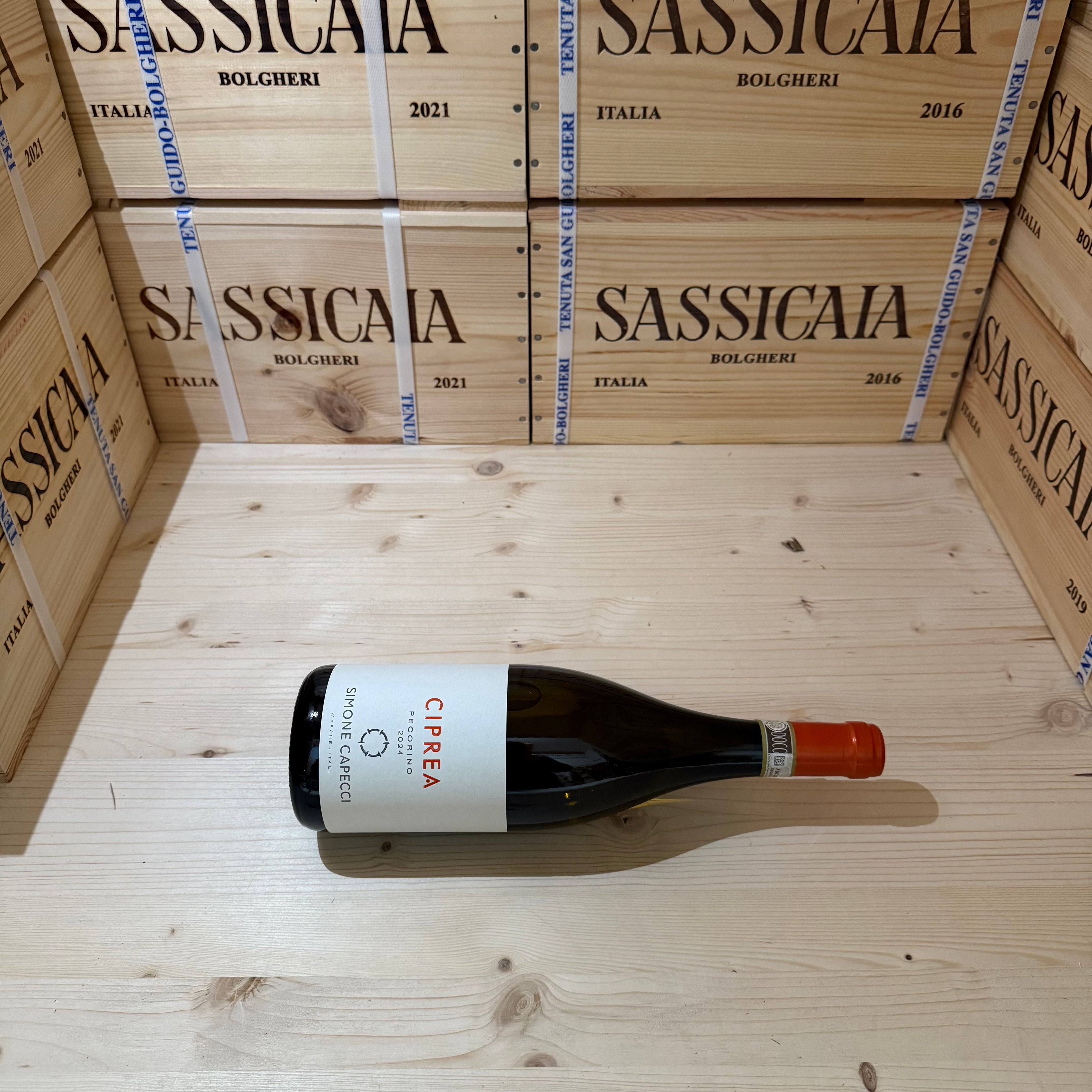Simone Capecci Ciprea 2024 Offida Pecorino
