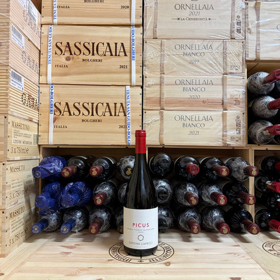 Simone Capecci Picus 2023 Rosso Piceno Superiore DOP