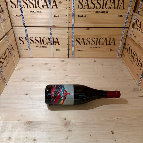 Ste Rosso Piceno Zero Alcool Santa Barbara