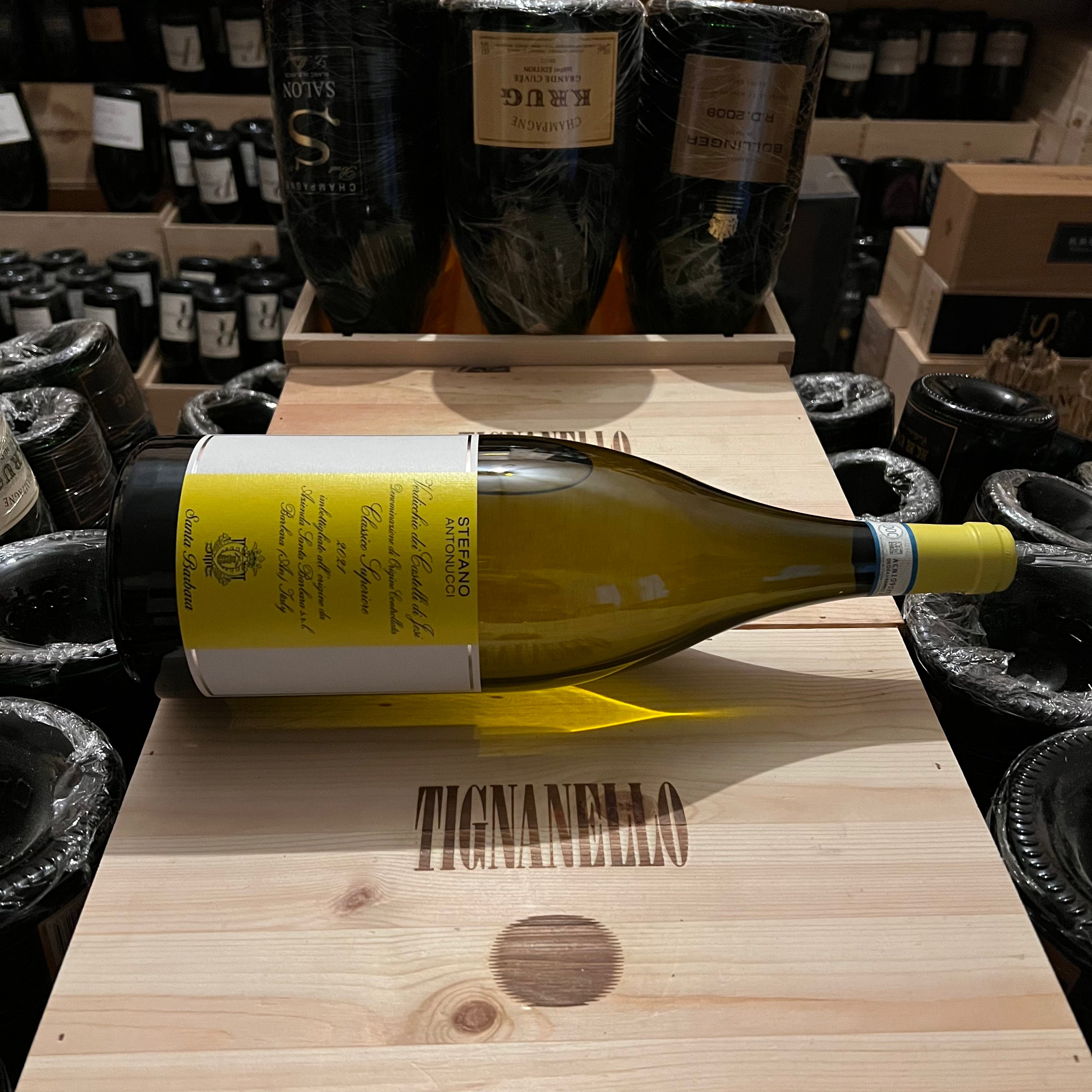 Stefano Antonucci 2021 Magnum Santa Barbara Verdicchio dei Castelli di Jesi DOC Classico Superiore