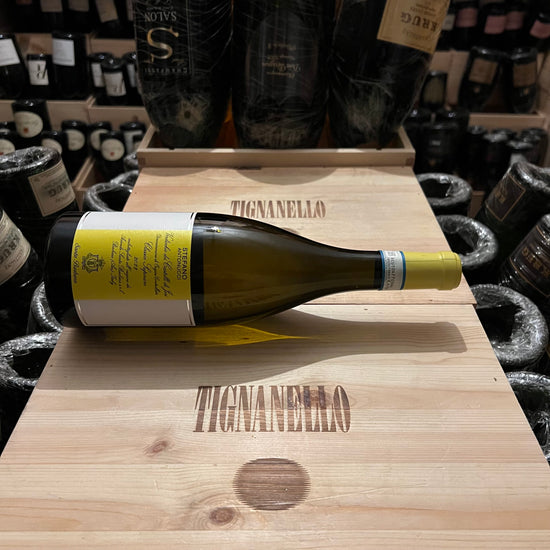 Stefano Antonucci 2022 Santa Barbara Verdicchio dei Castelli di Jesi DOC Classico Superiore