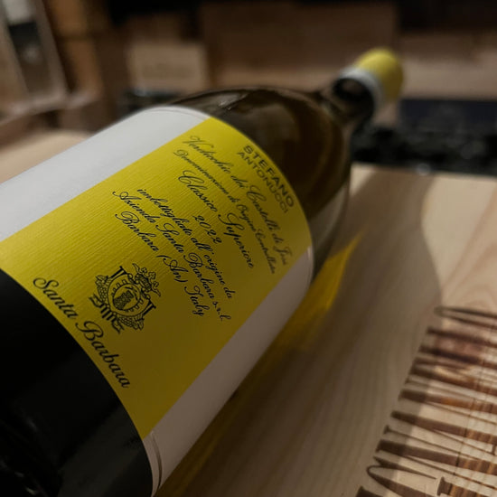 Stefano Antonucci 2022 Santa Barbara Verdicchio dei Castelli di Jesi DOC Classico Superiore