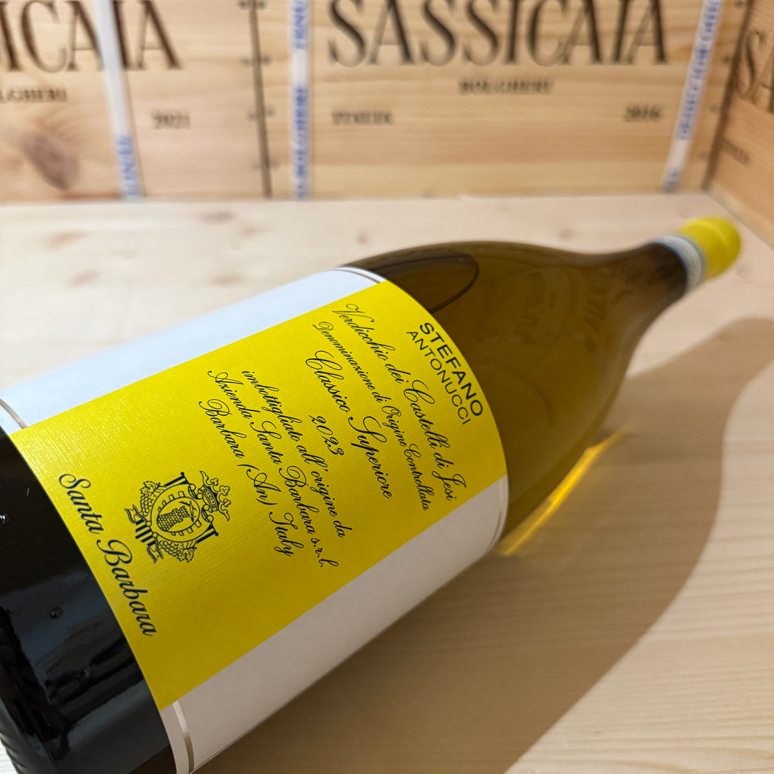 Stefano Antonucci 2023 Magnum Santa Barbara Verdicchio dei Castelli di Jesi DOC Classico Superiore