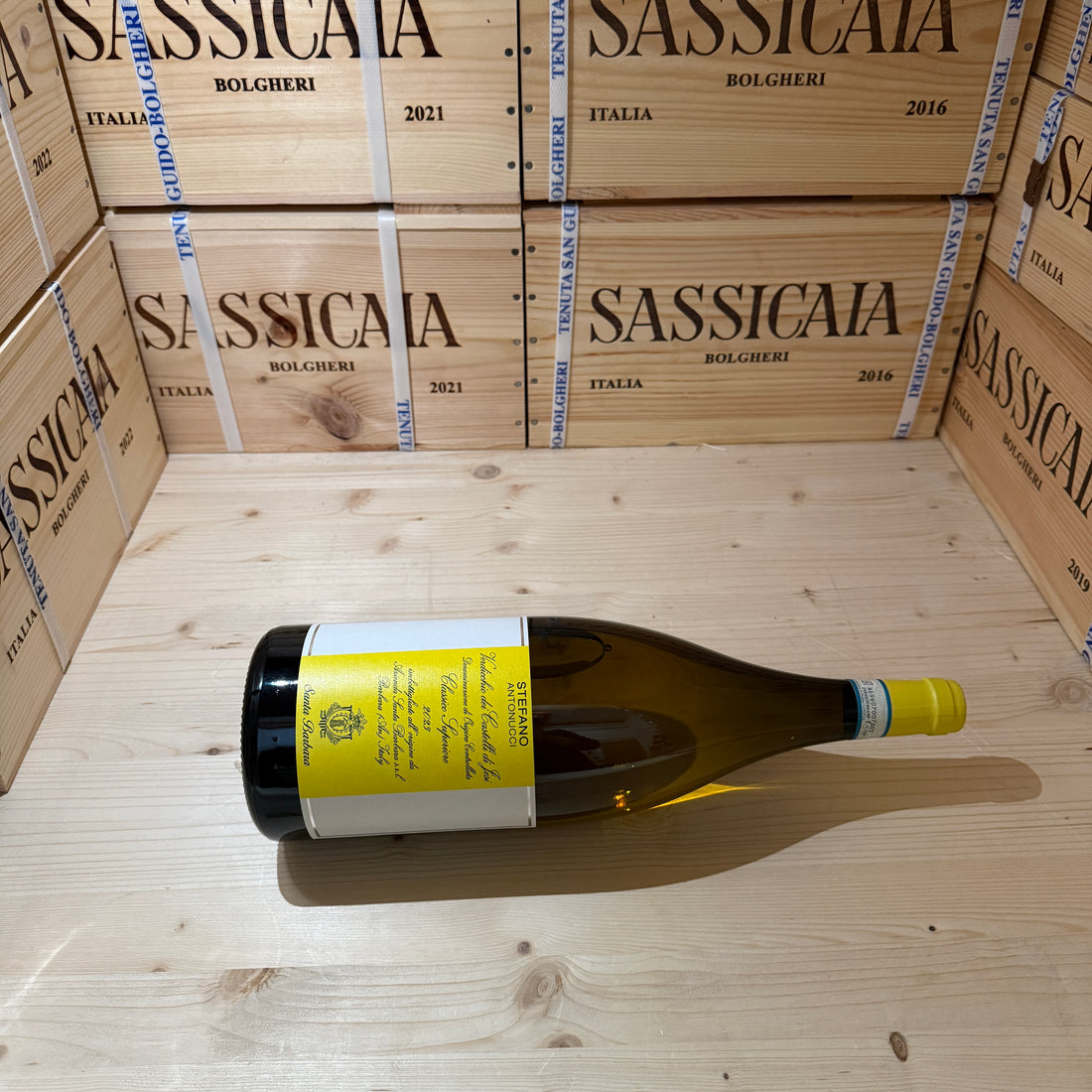 Stefano Antonucci 2023 Magnum Santa Barbara Verdicchio dei Castelli di Jesi DOC Classico Superiore
