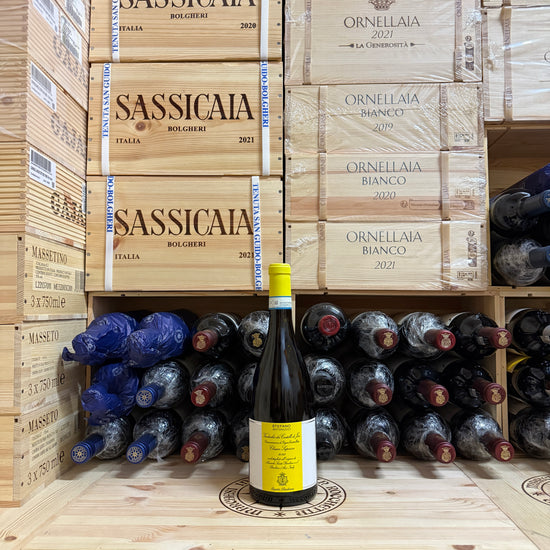 Stefano Antonucci 2023 Santa Barbara Verdicchio dei Castelli di Jesi DOC Classico Superiore