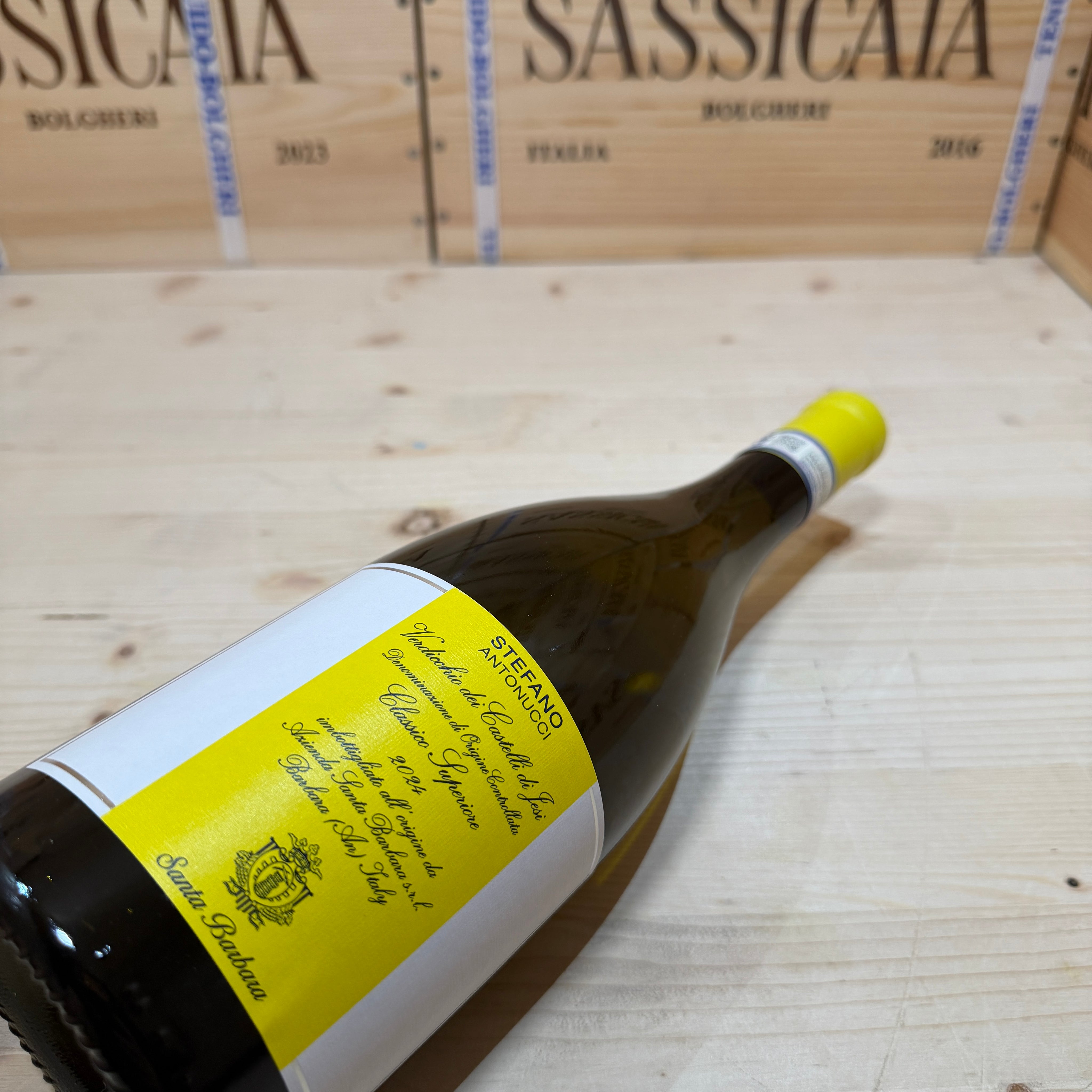 Stefano Antonucci 2024 Santa Barbara Verdicchio
