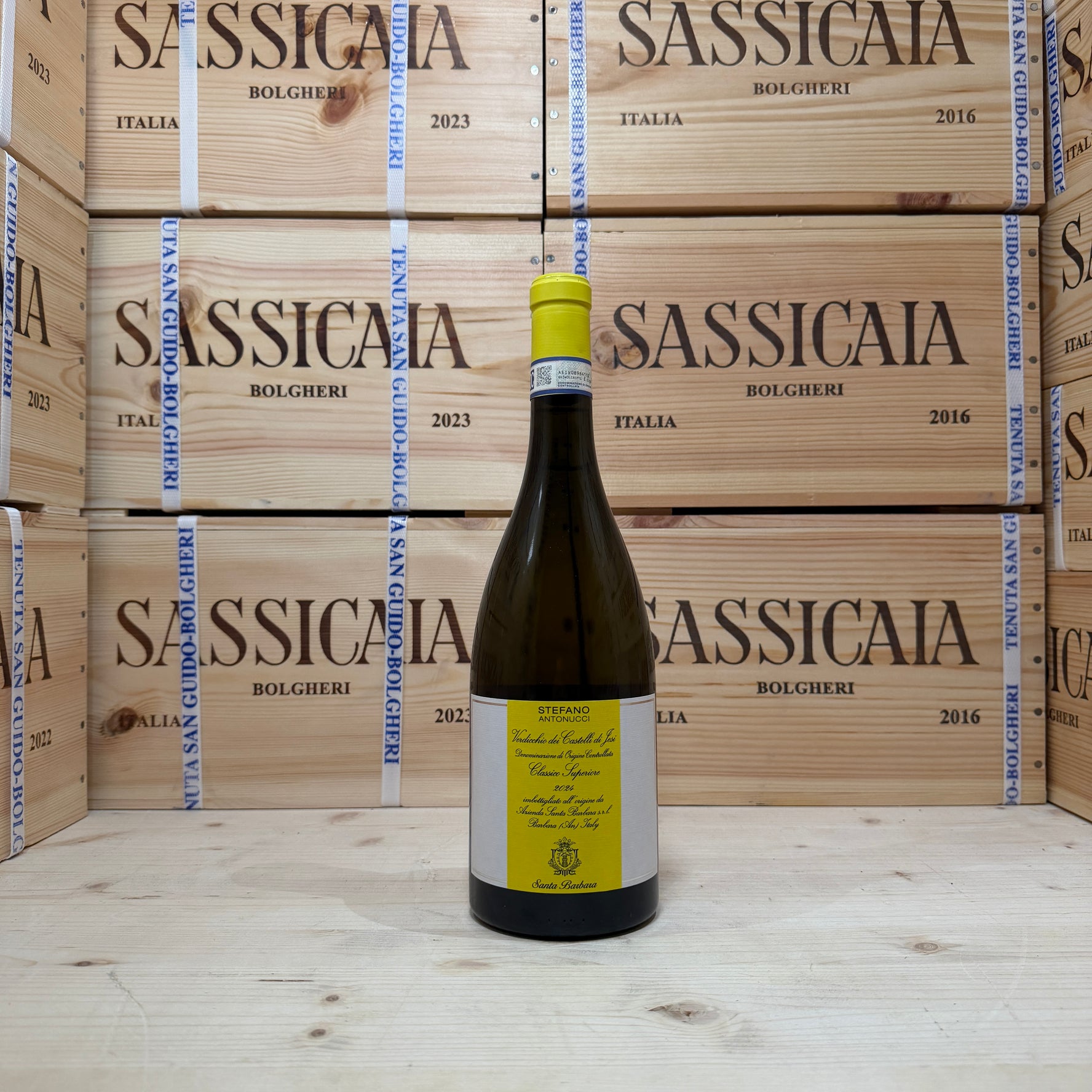 Stefano Antonucci 2024 Santa Barbara Verdicchio