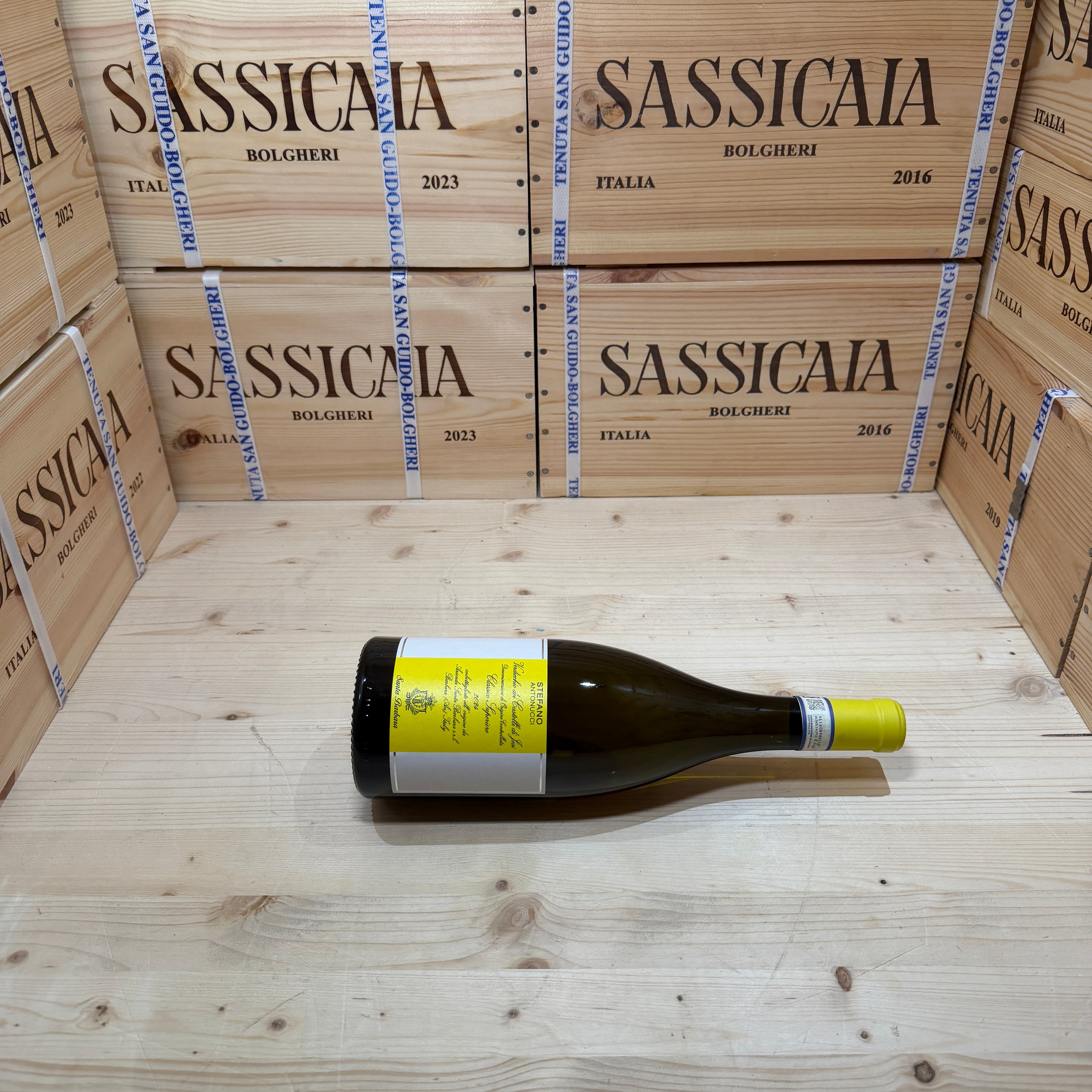 Stefano Antonucci 2024 Santa Barbara Verdicchio