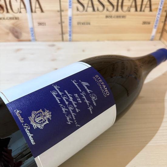 Stefano Antonucci Rosso 2022 Magnum Marche Rosso IGT Santa Barbara