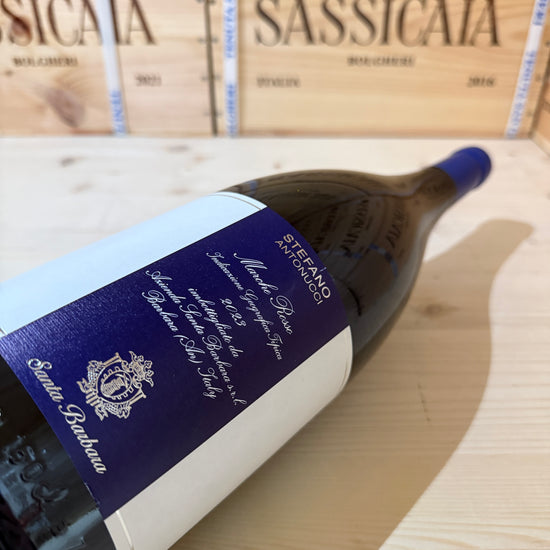 Stefano Antonucci Rosso 2023 Magnum Marche Rosso IGT Santa Barbara