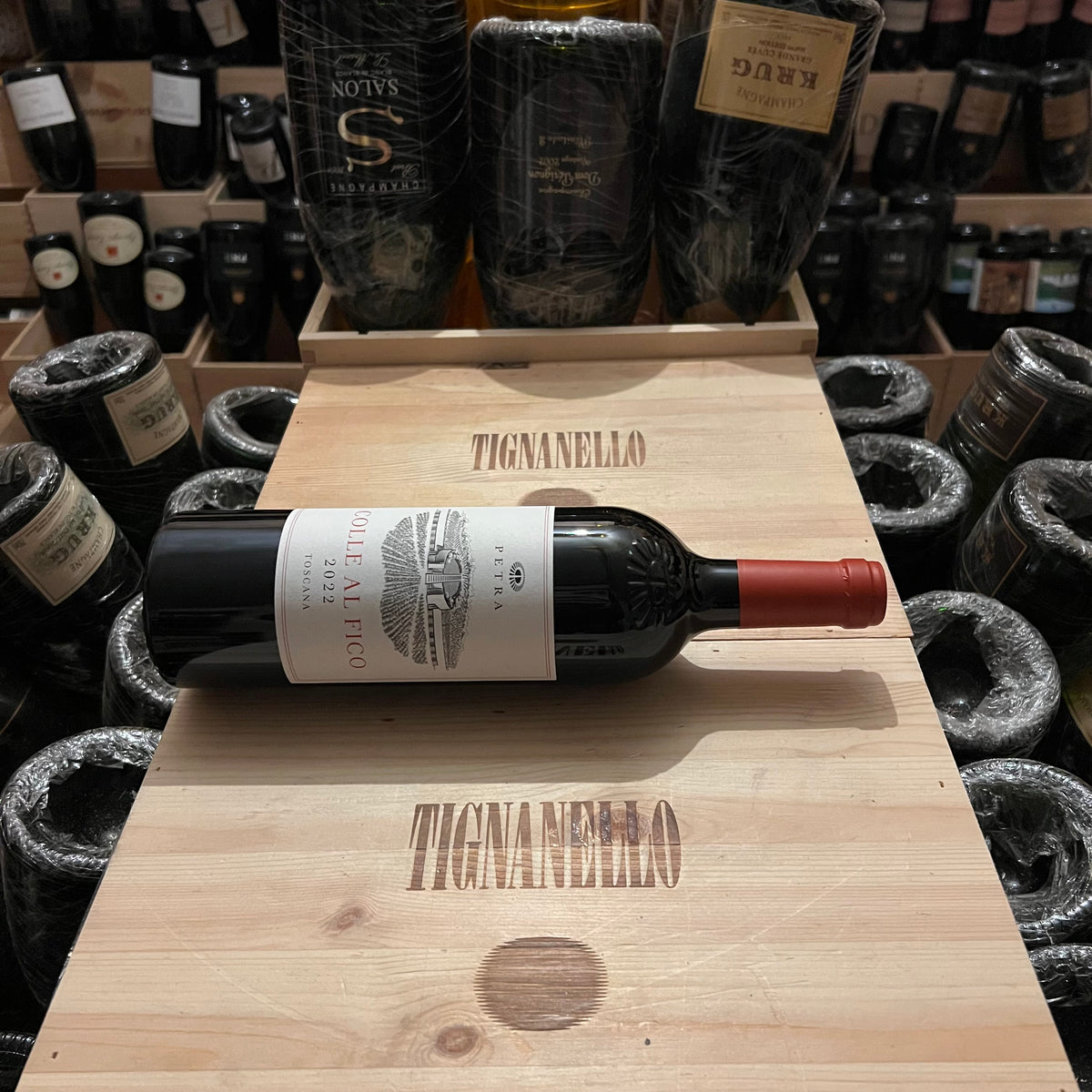 Syrah Colle al Fico Petra 2022