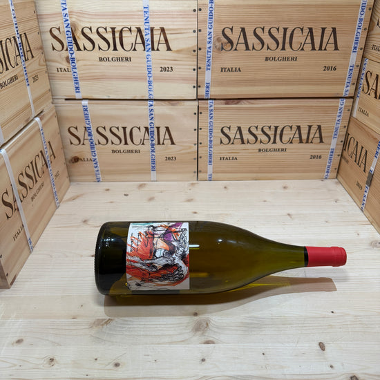 Tardivo ma non Tardo 2008 Magnum