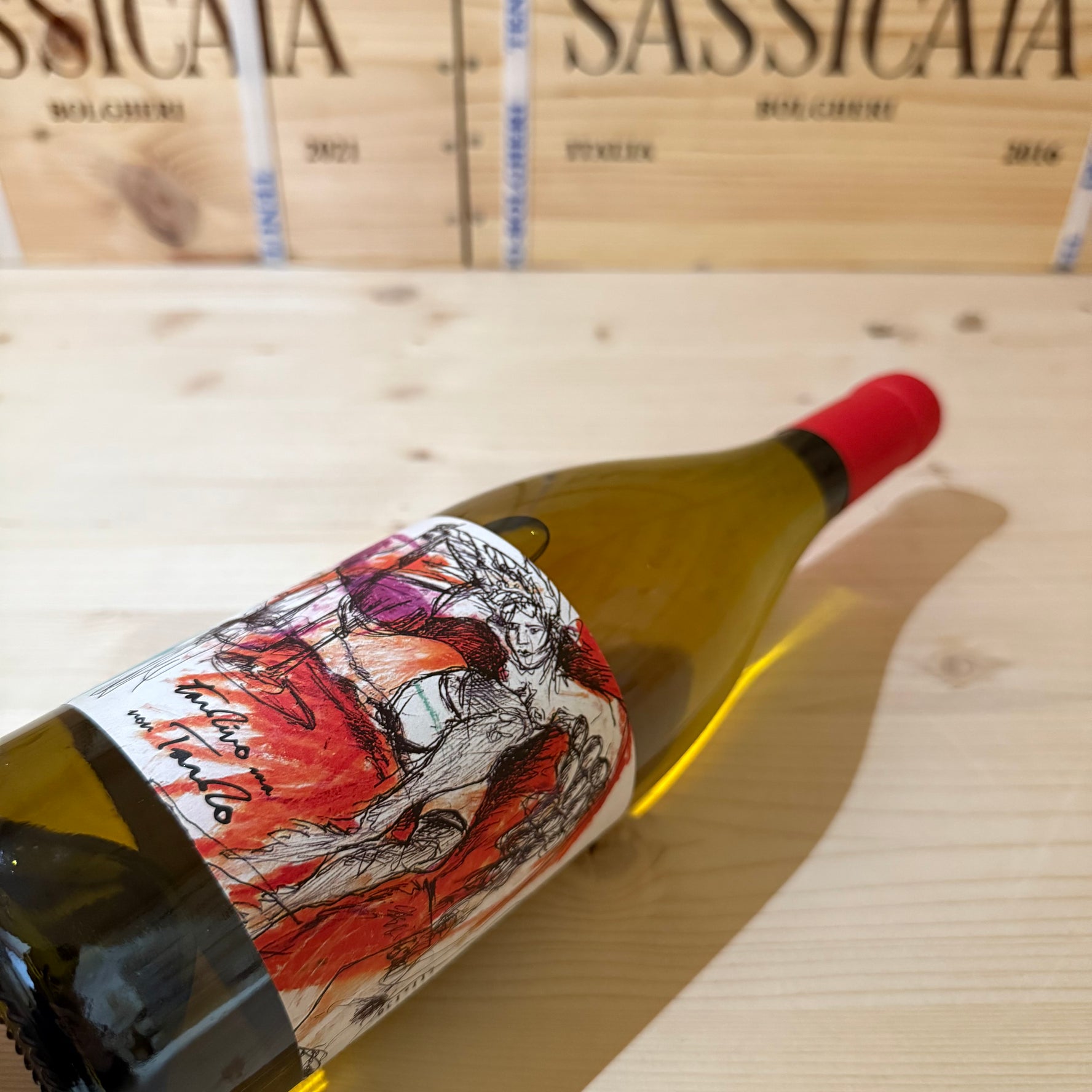 Tardivo ma non Tardo 2008 Santa Barbara Verdicchio dei Castelli di Jesi DOC Classico