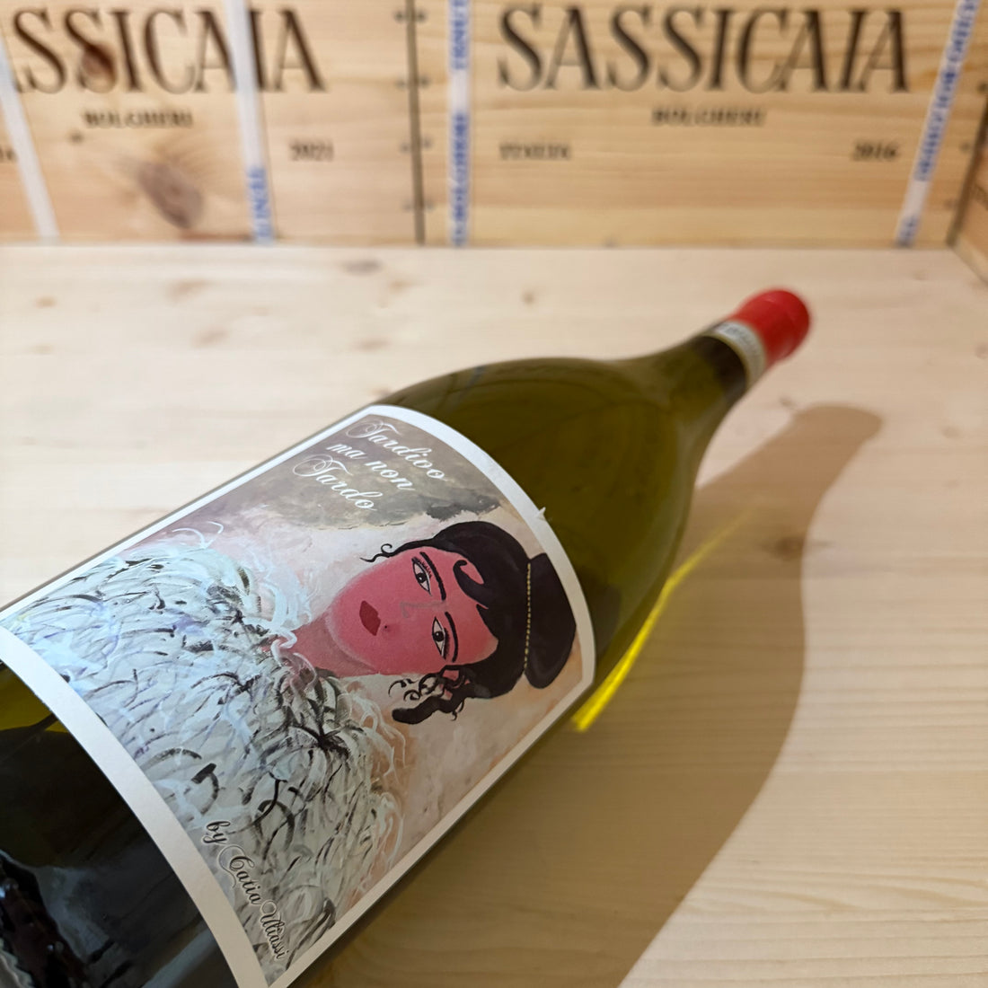 Tardivo ma non Tardo 2016 Magnum Santa Barbara Verdicchio dei Castelli di Jesi DOC Classico