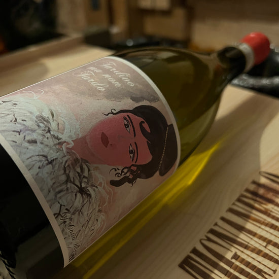 Tardivo ma non Tardo 2019 Santa Barbara Verdicchio dei Castelli di Jesi DOCG Classico Riserva
