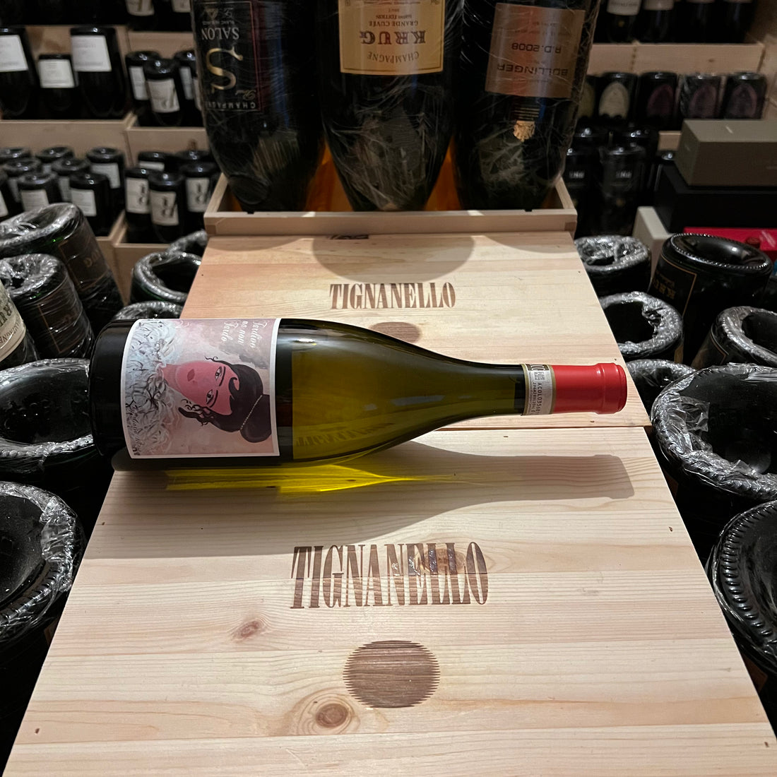 Tardivo ma non Tardo 2019 Santa Barbara Verdicchio dei Castelli di Jesi DOCG Classico Riserva