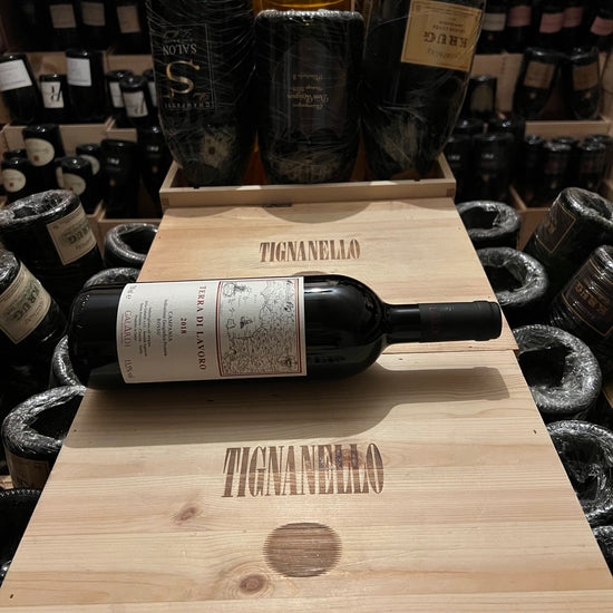 Terra di Lavoro 2018 Galardi