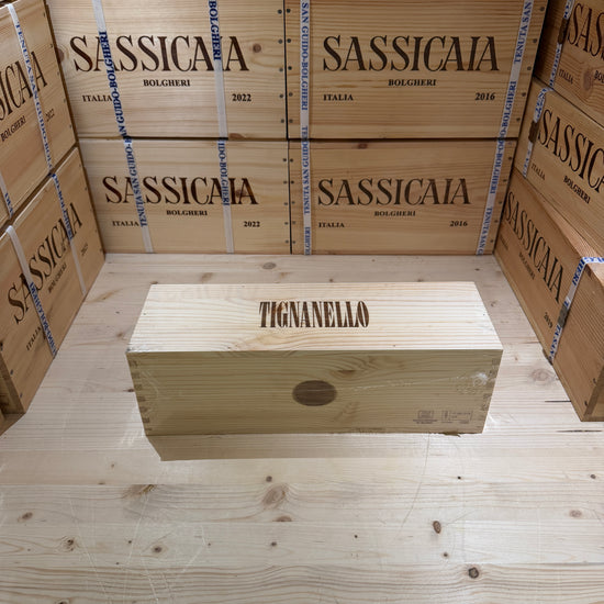 Tignanello 2023 Magnum
